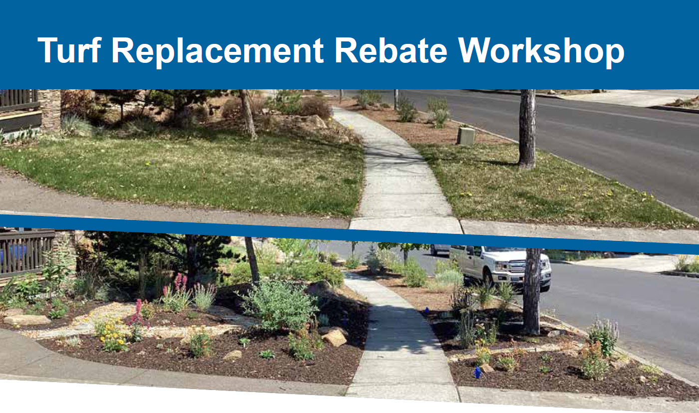 Water Conservation Turf Replacement Rebate Workshop