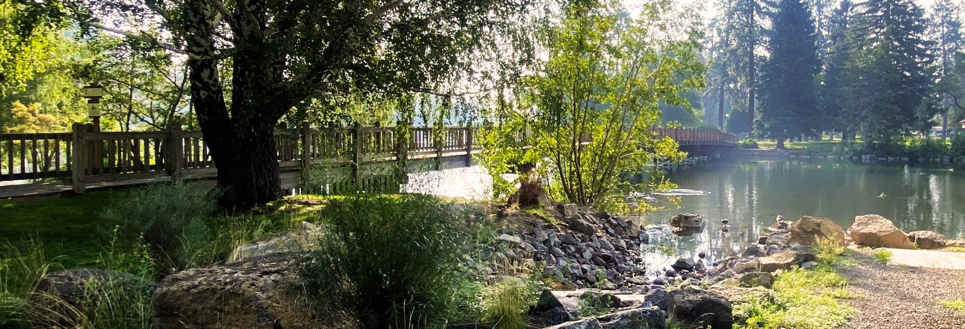 Footbridge over the Deschutes River on a sunny, spring day. Trees are green, water is clear.