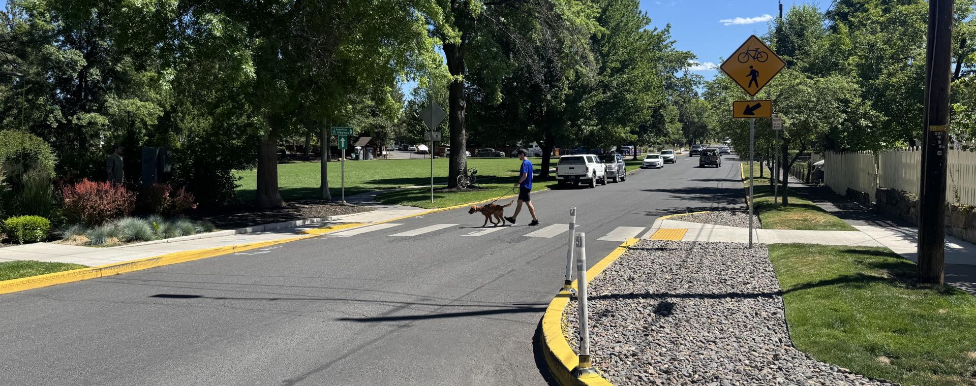 Man with dog on leash in crosswalk